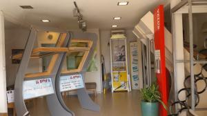 סניף נס ציונה