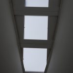 גלריית תמונות